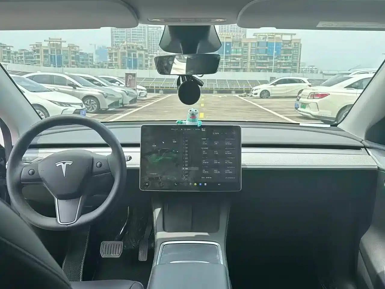 Model Y 2024 Rear-Wheel Drive — миниатюра 9