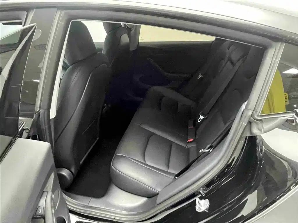 Model 3 2021 Standard Range Rear-Wheel Drive Upgrade 3D6 — миниатюра 5