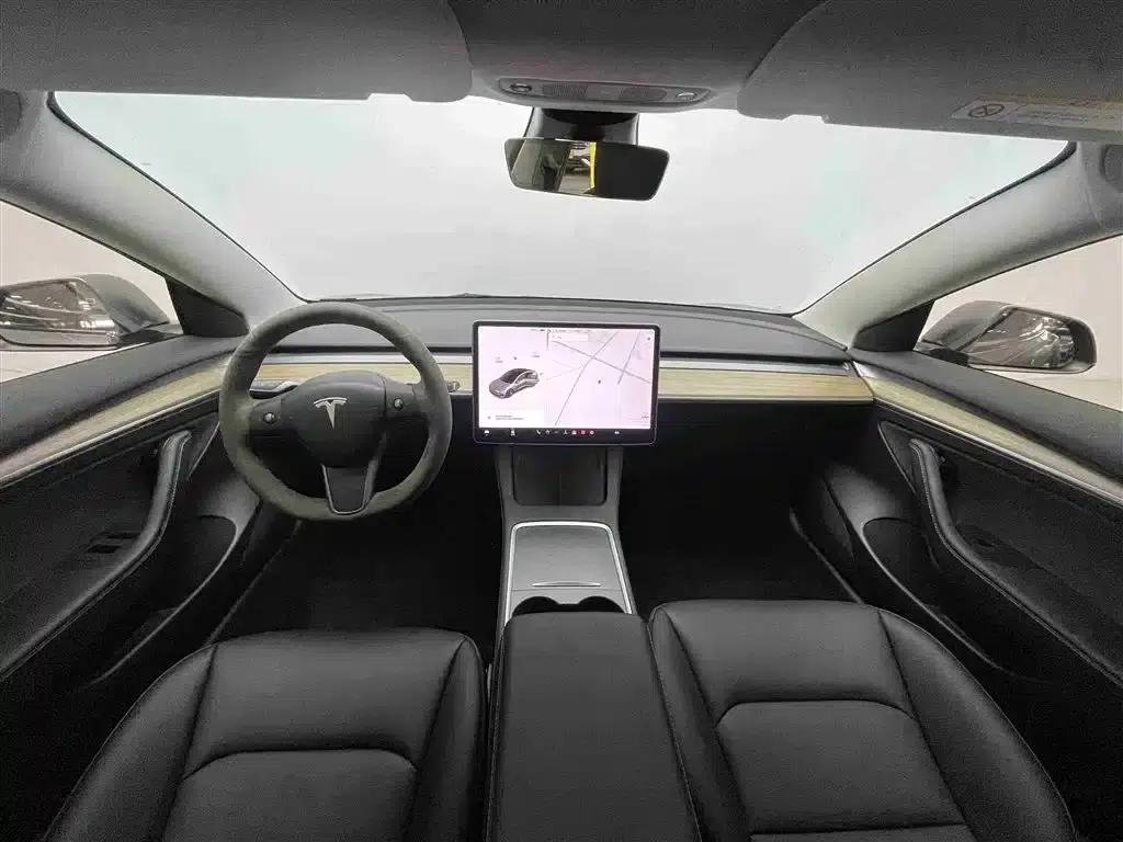 Model 3 2021 Standard Range Rear-Wheel Drive Upgrade 3D6 — миниатюра 7