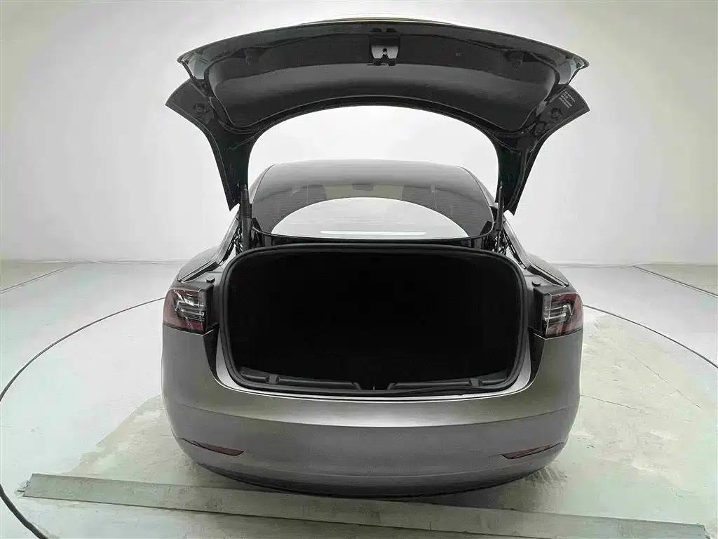 Model 3 2021 Standard Range Rear-Wheel Drive Upgrade 3D6 — миниатюра 9