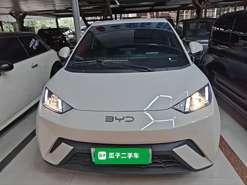 Seagull 2024 Glory Edition 305km/h Vitality Edition — миниатюра 3