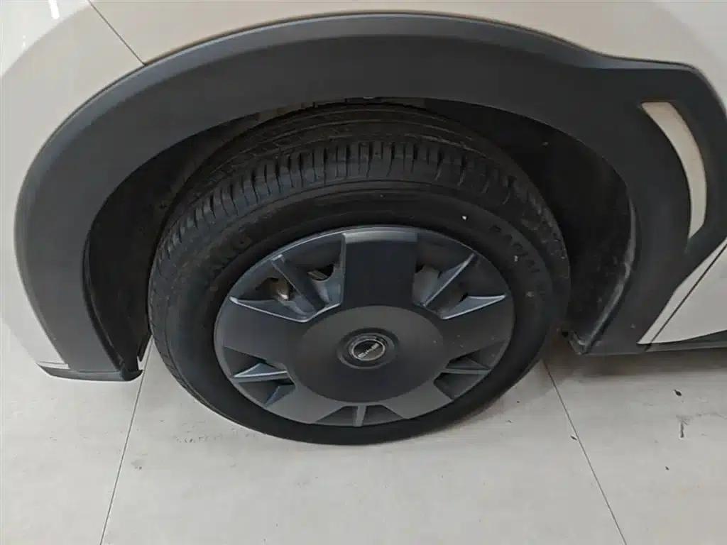 Seagull 2024 Glory Edition 305km/h Vitality Edition — миниатюра 23