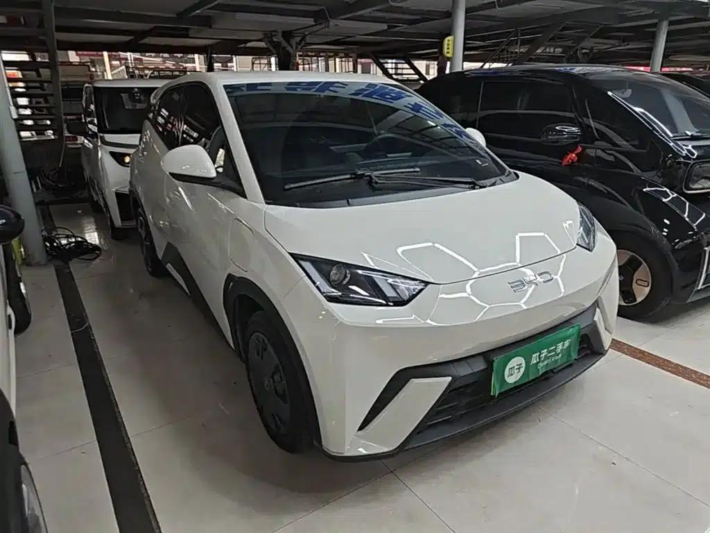 Seagull 2024 Glory Edition 305km/h Vitality Edition — миниатюра 4