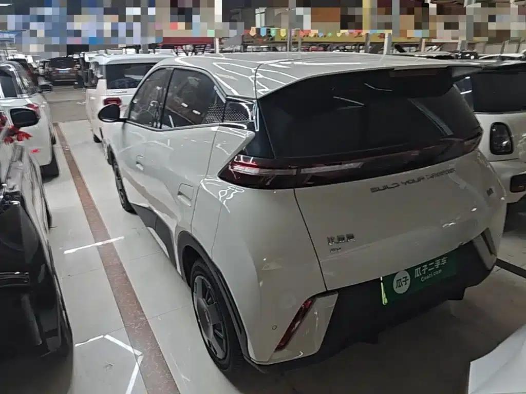Seagull 2024 Glory Edition 305km/h Vitality Edition — миниатюра 5