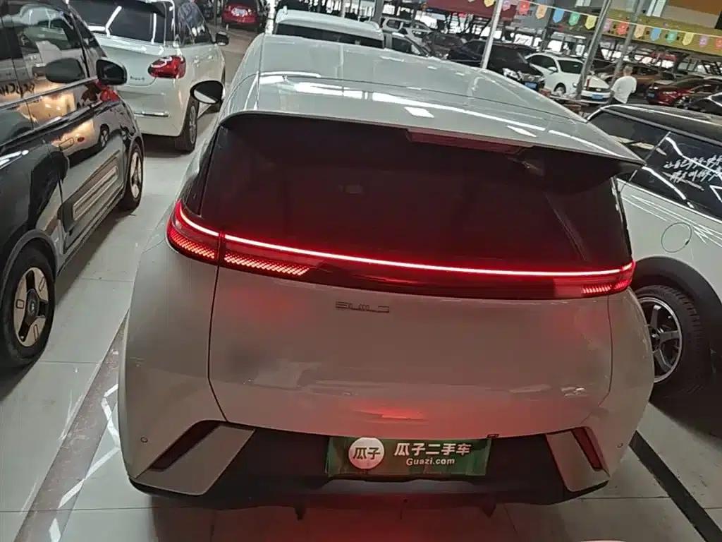 Seagull 2024 Glory Edition 305km/h Vitality Edition — миниатюра 6