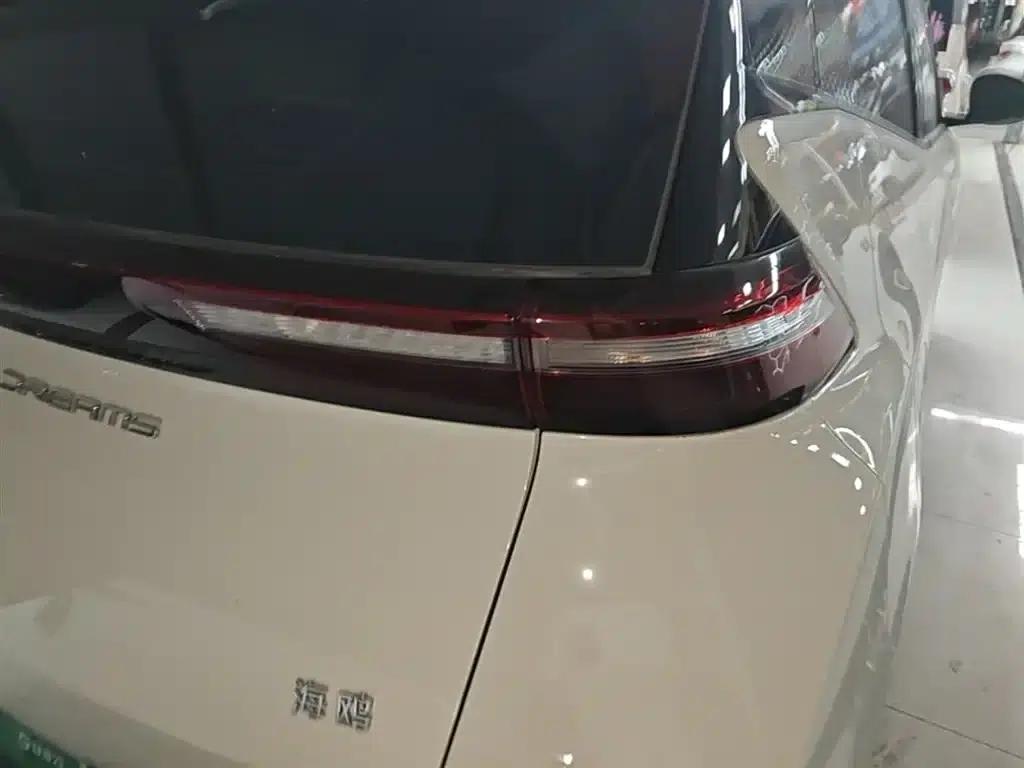 Seagull 2024 Glory Edition 305km/h Vitality Edition — миниатюра 8