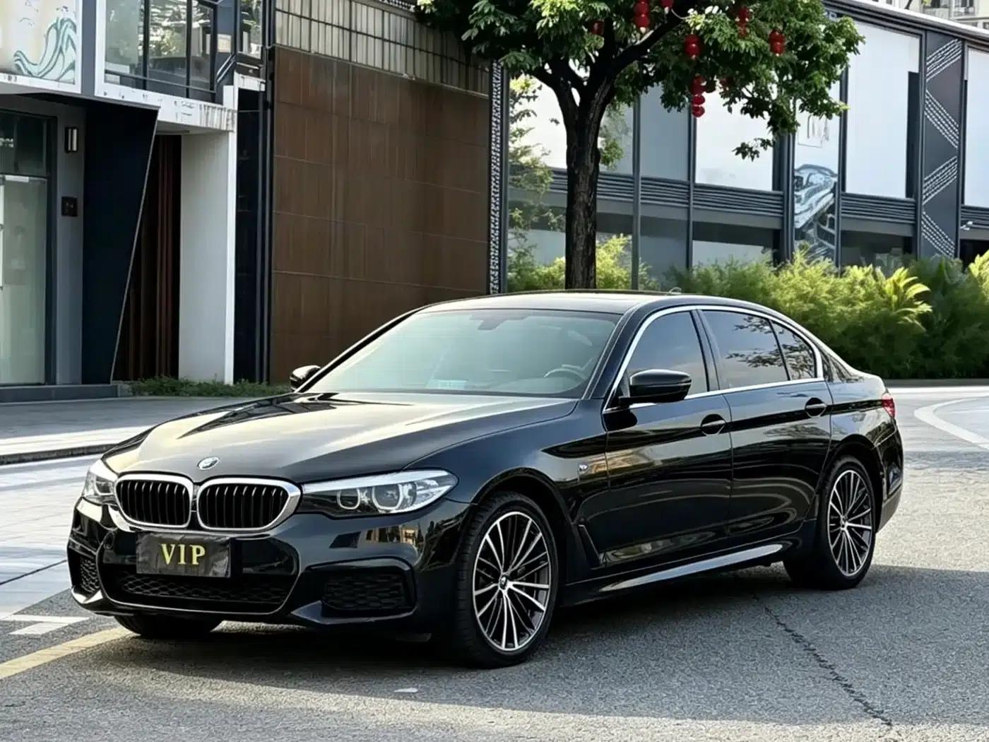 2019 BMW 5 Series 530Li Leading Edition M Sport Package — миниатюра 1