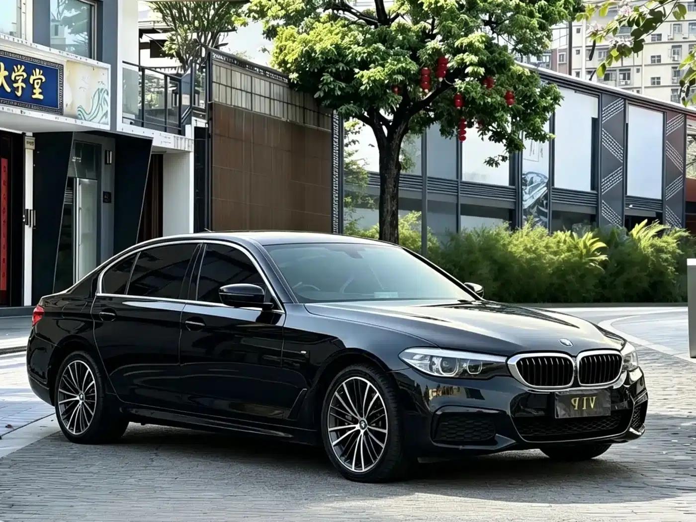2019 BMW 5 Series 530Li Leading Edition M Sport Package — миниатюра 3