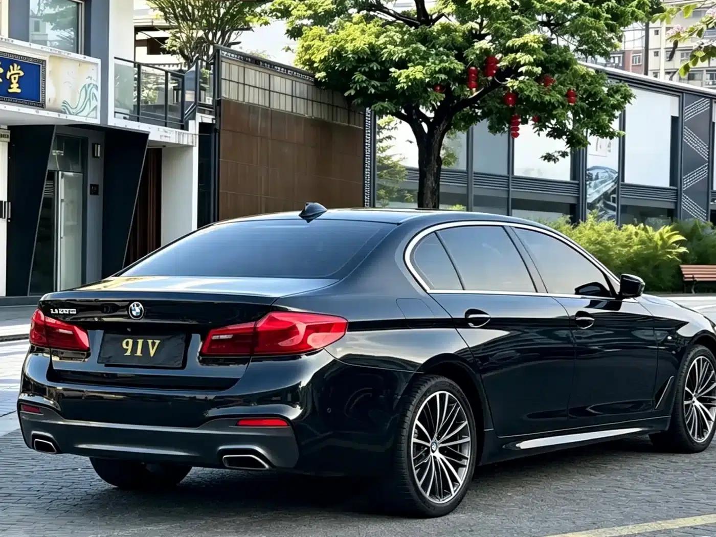 2019 BMW 5 Series 530Li Leading Edition M Sport Package — миниатюра 7