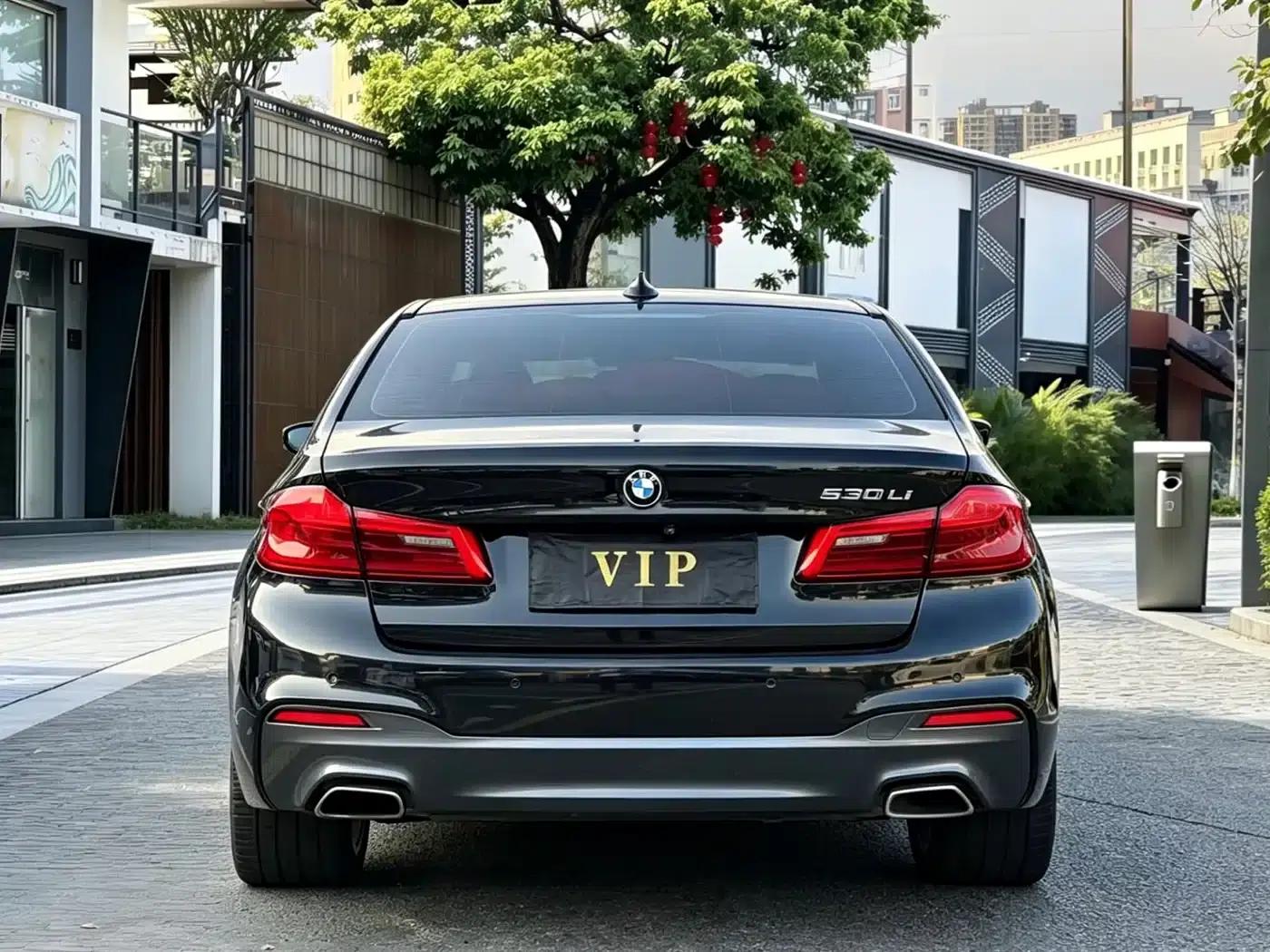 2019 BMW 5 Series 530Li Leading Edition M Sport Package — миниатюра 8