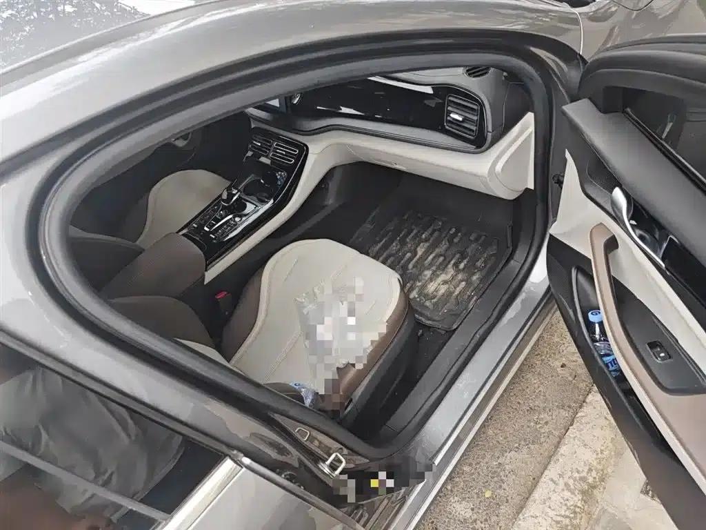 Qin PLUS 2024 Glory Edition DM-i 55KM Leading Model — миниатюра 20