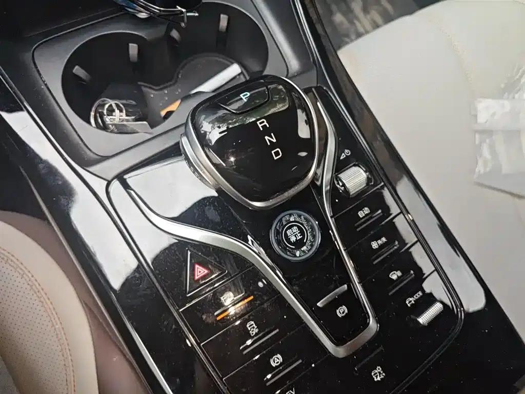 Qin PLUS 2024 Glory Edition DM-i 55KM Leading Model — миниатюра 7
