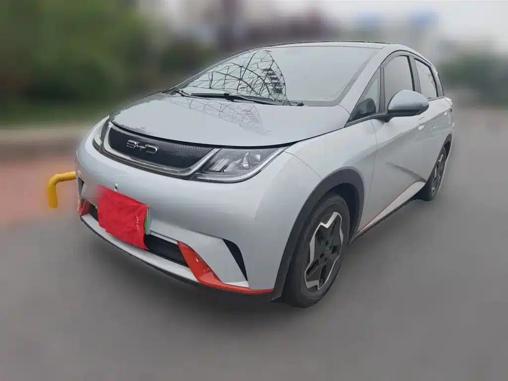 Dolphin 2021 405km Fashion Edition — миниатюра 1