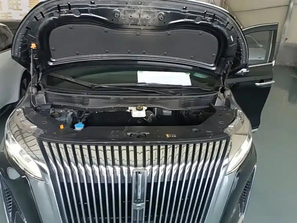 Weipai Gaoshan 2025 Model 4WD Gaoshan 8 — миниатюра 20