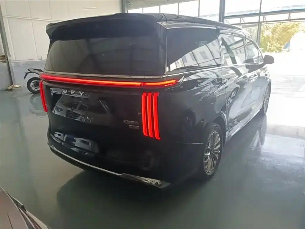 Weipai Gaoshan 2025 Model 4WD Gaoshan 8 — миниатюра 7