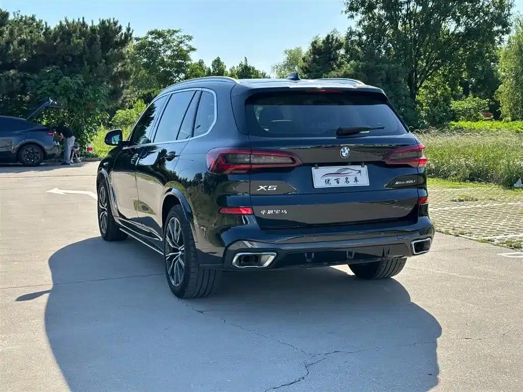 BMW X5 2022 Facelift xDrive 30Li M Sport Package — миниатюра 4