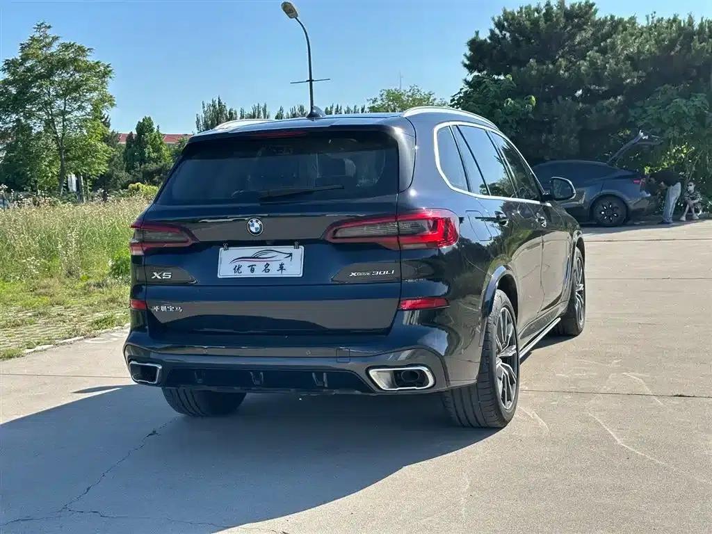 BMW X5 2022 Facelift xDrive 30Li M Sport Package — миниатюра 6