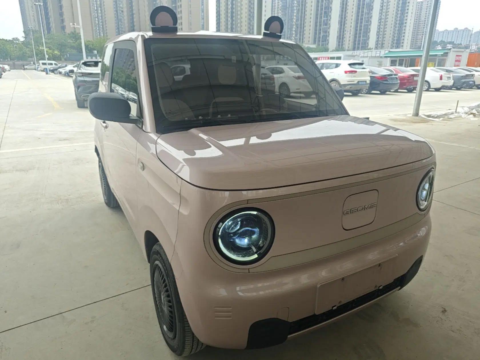 Geely Galaxy Panda 2023 Panda Mini 200km Endurance Bear — миниатюра 3