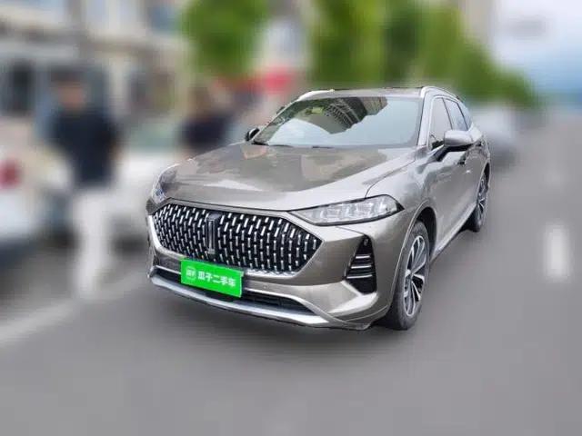 Wey Mocha 2021 2.0T Two-Wheel-Drive Ultra-Strong Version