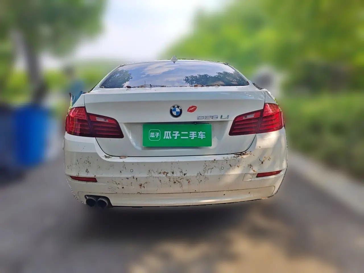 BMW 5 Series 2013 525Li Leading Model — миниатюра 5