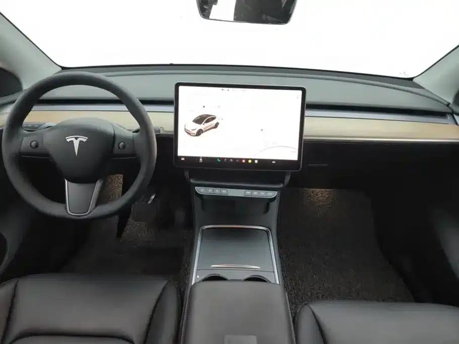 Model Y 2021 Long Range All-Wheel Drive — миниатюра 12
