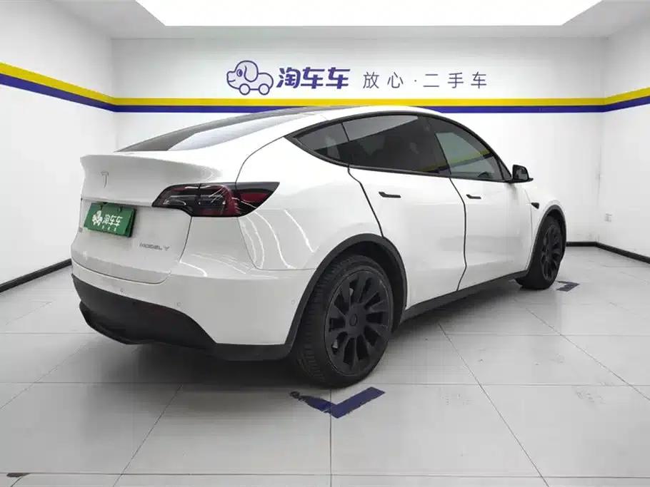 Model Y 2021 Long Range All-Wheel Drive — миниатюра 3