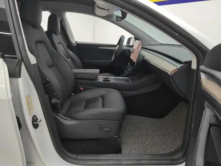 Model Y 2021 Long Range All-Wheel Drive — миниатюра 8