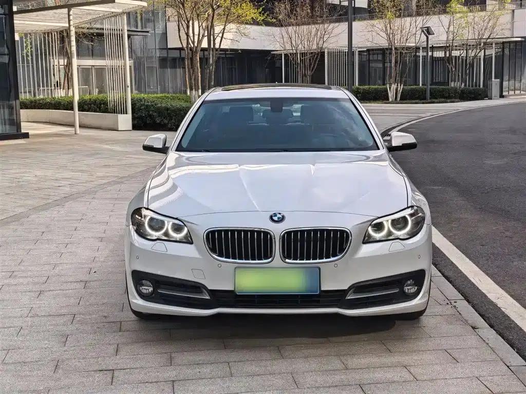BMW 5 Series 2017 520Li Elegant Edition — миниатюра 3