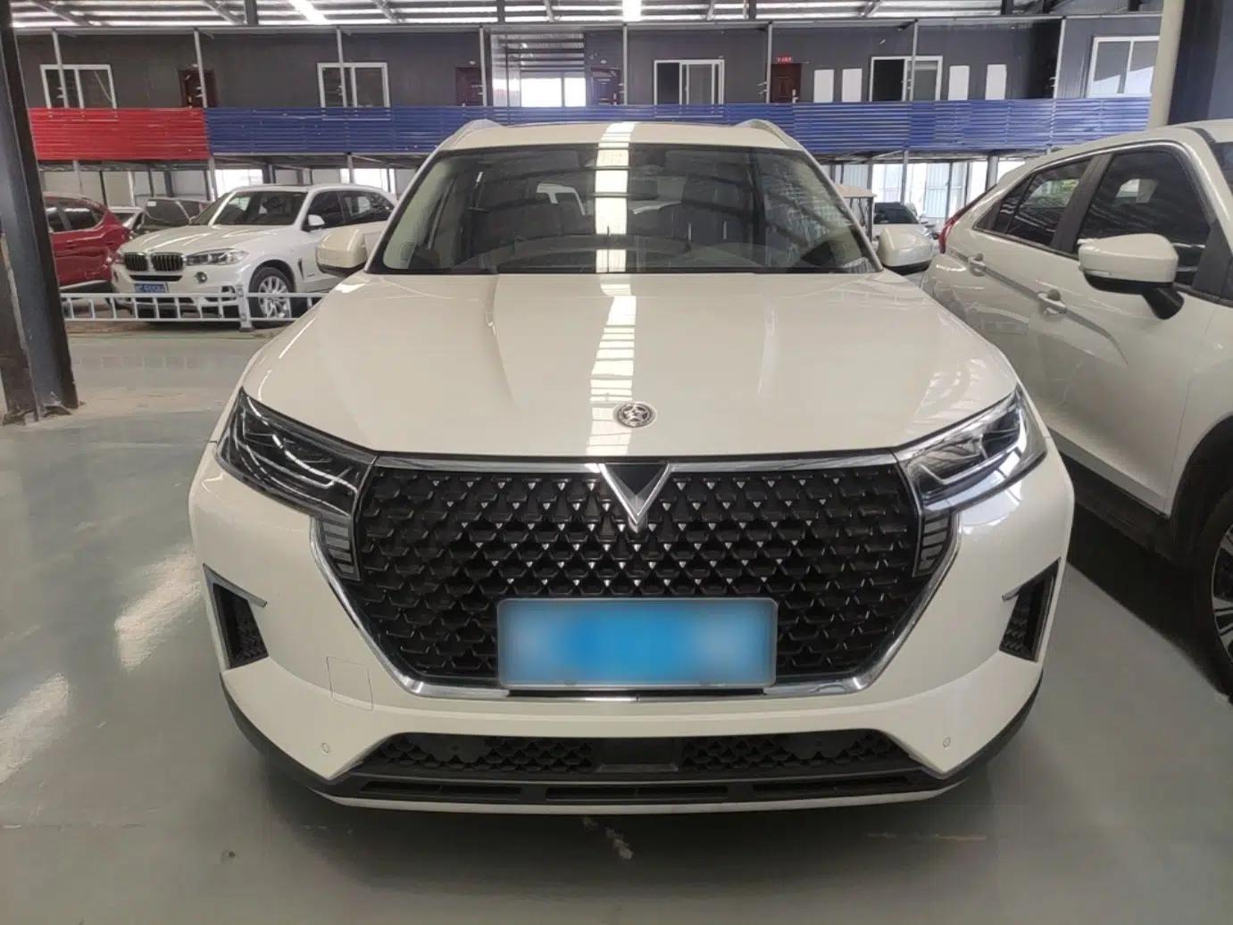 Venucia Star 2020 260T Automatic 48V Mild Hybrid Turbocharged Starry Edition — миниатюра 2
