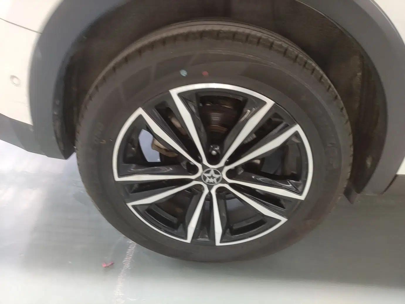 Venucia Star 2020 260T Automatic 48V Mild Hybrid Turbocharged Starry Edition — миниатюра 11