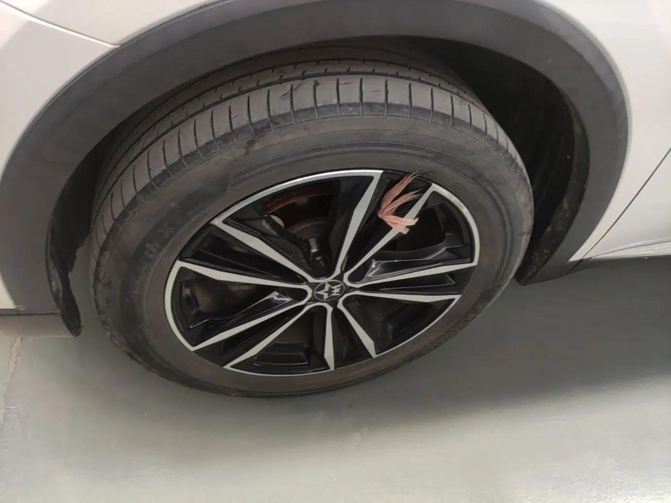 Venucia Star 2020 260T Automatic 48V Mild Hybrid Turbocharged Starry Edition — миниатюра 10