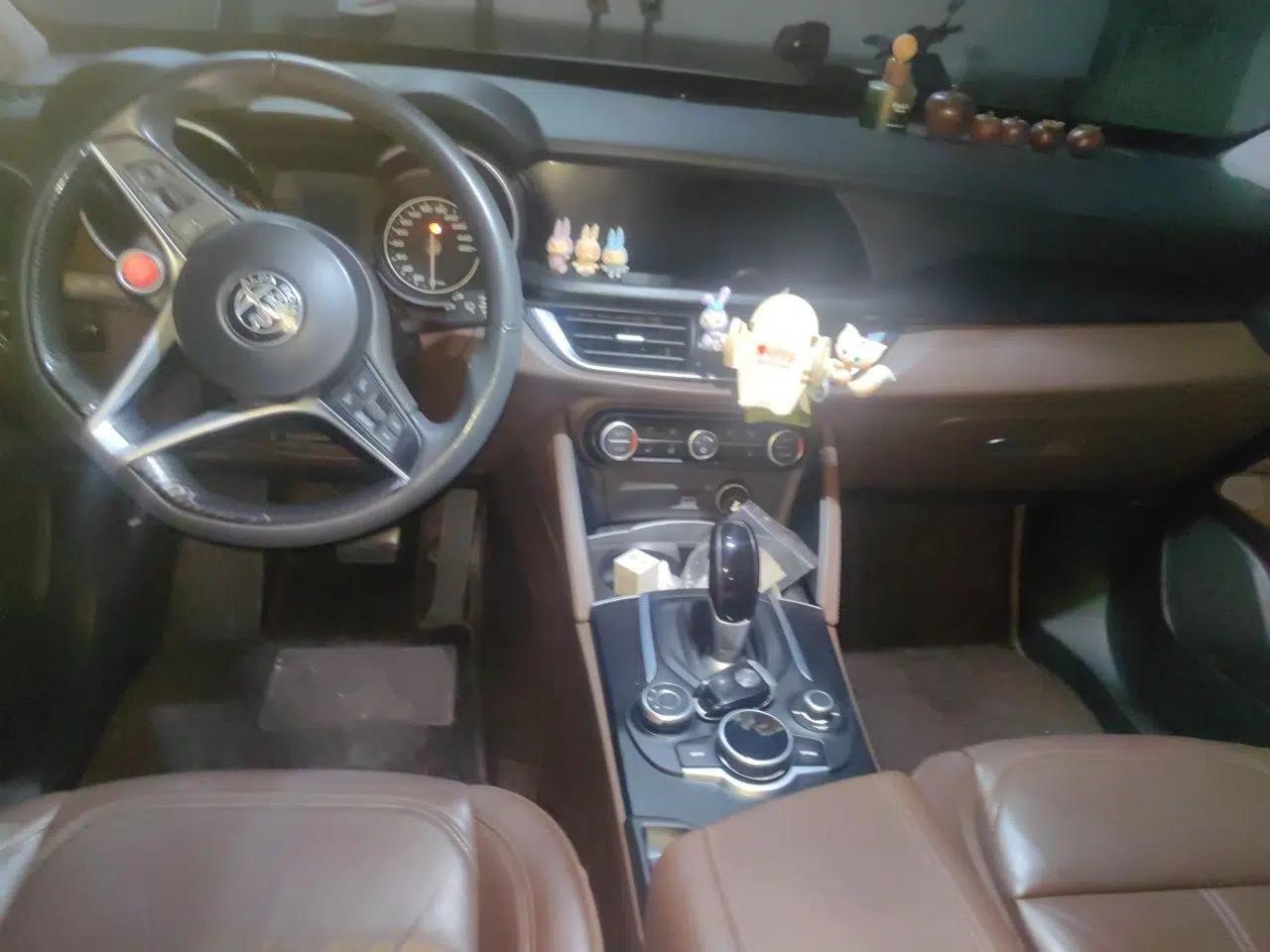 Alfa Romeo Stelvio 2017 2.0T 200HP Elite Edition — миниатюра 9