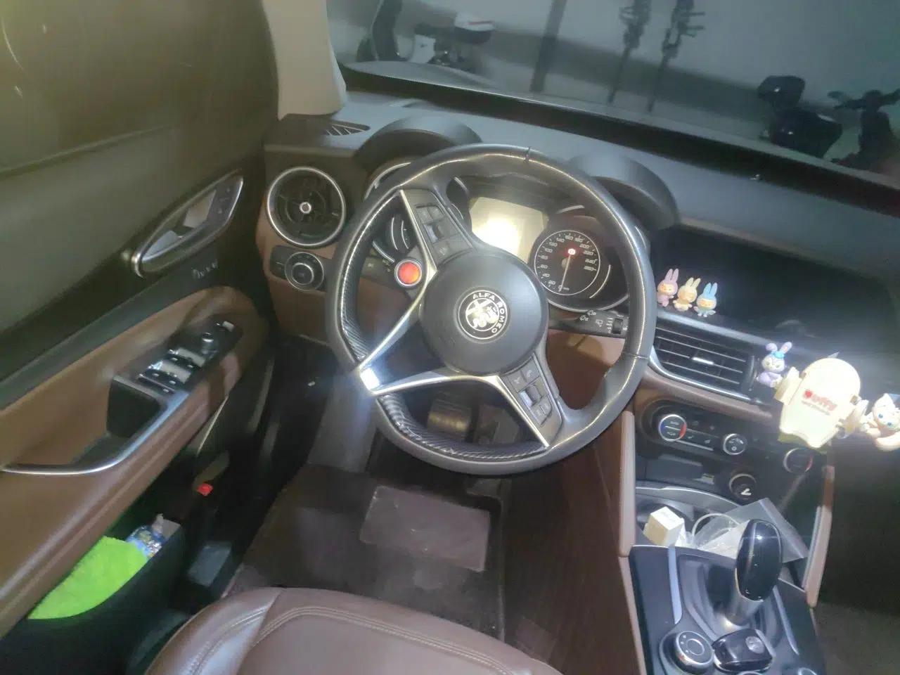 Alfa Romeo Stelvio 2017 2.0T 200HP Elite Edition — миниатюра 10