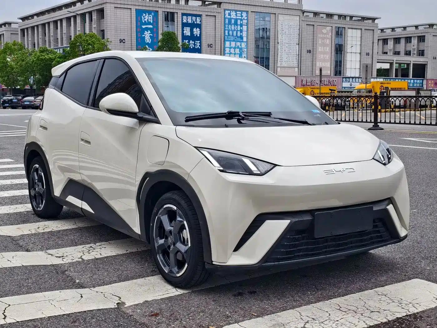 Seagull 2024 Glory Edition 305km Freedom Edition — миниатюра 3