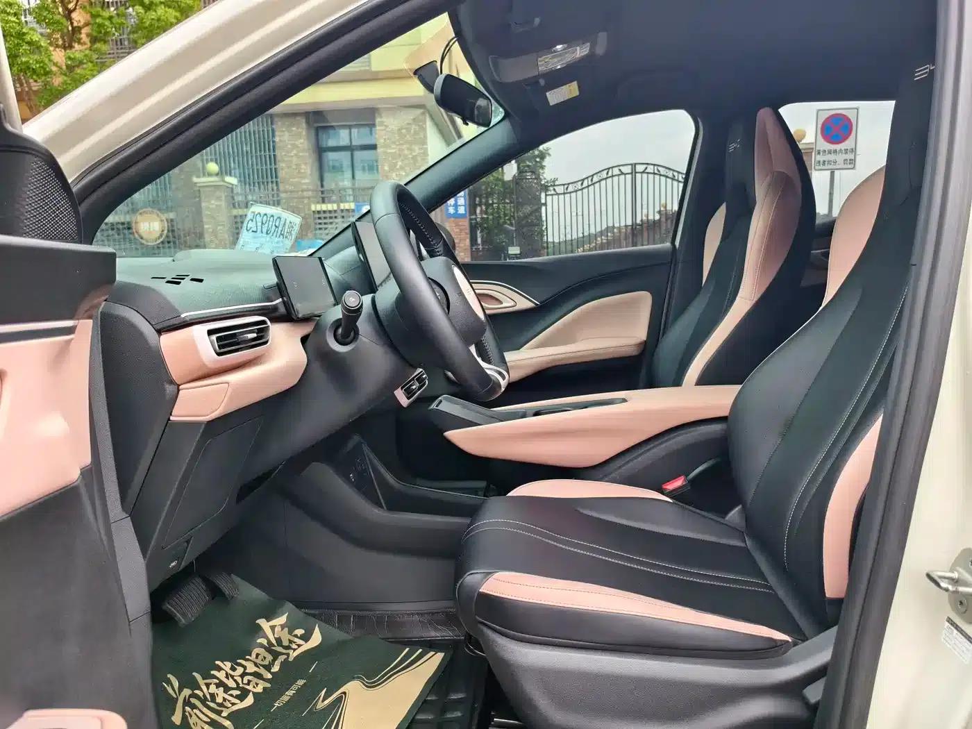 Seagull 2024 Glory Edition 305km Freedom Edition — миниатюра 4