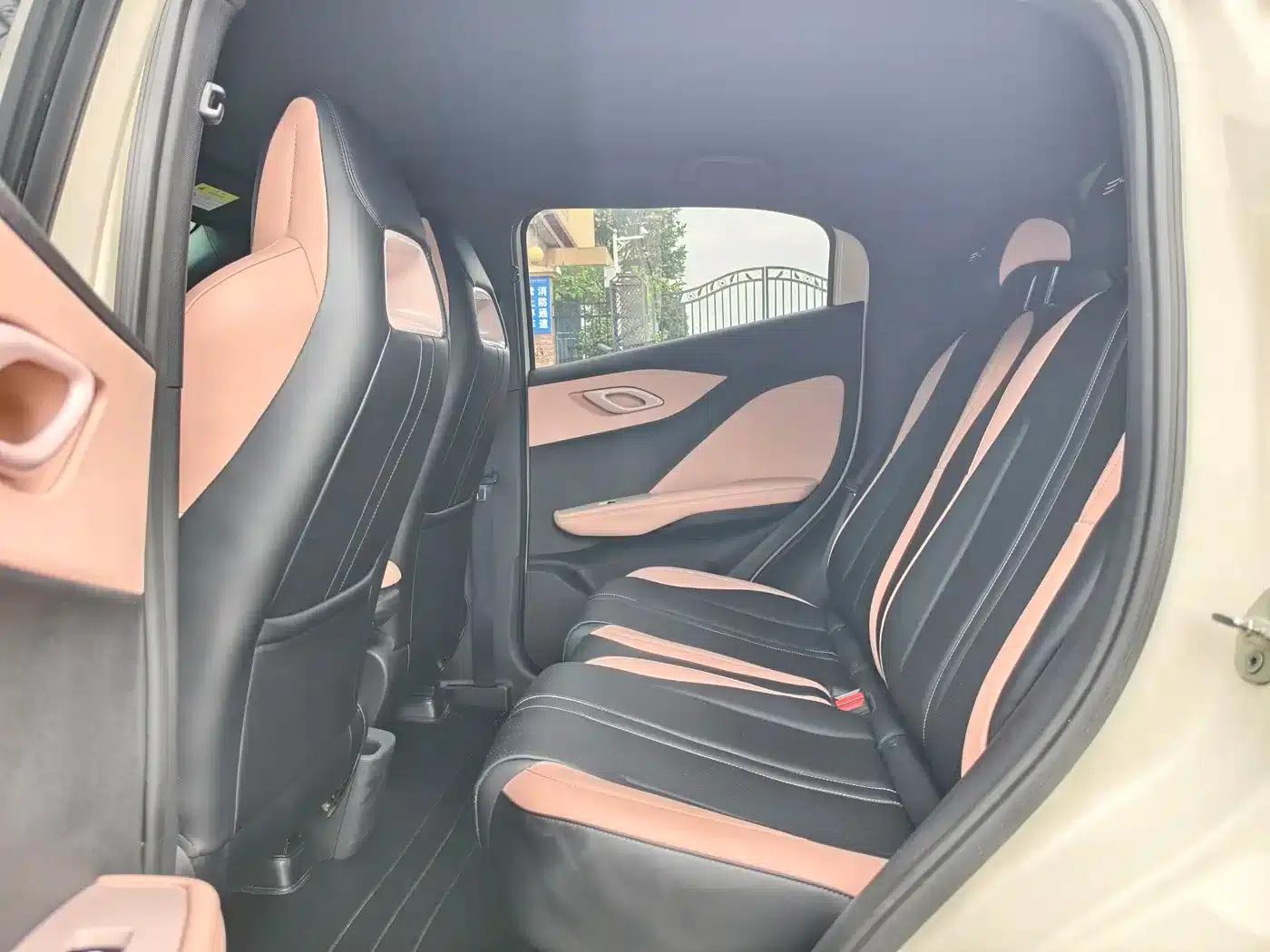 Seagull 2024 Glory Edition 305km Freedom Edition — миниатюра 5