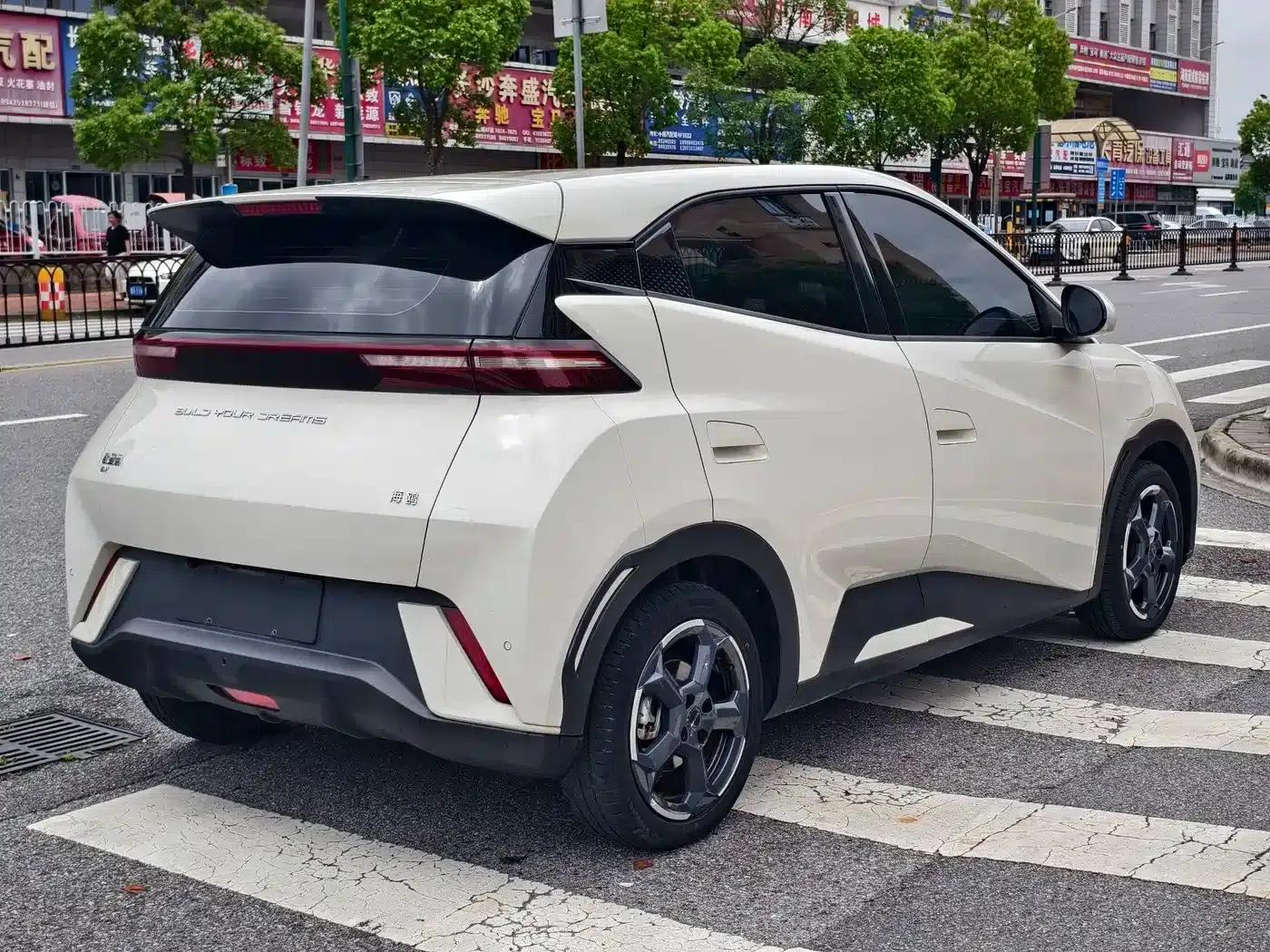 Seagull 2024 Glory Edition 305km Freedom Edition — миниатюра 8