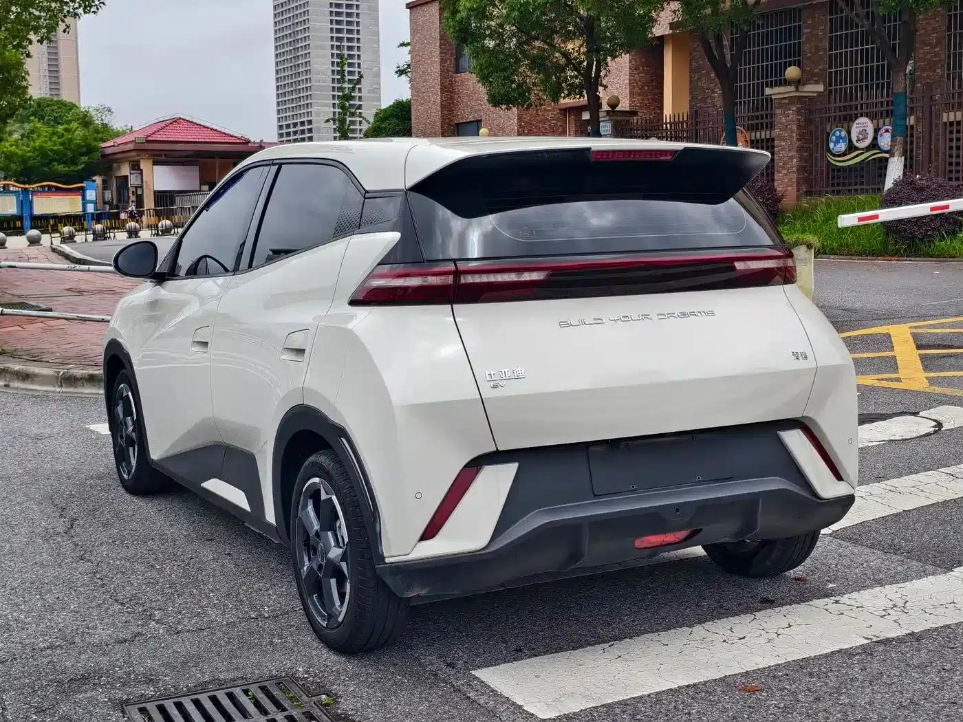 Seagull 2024 Glory Edition 305km Freedom Edition — миниатюра 10