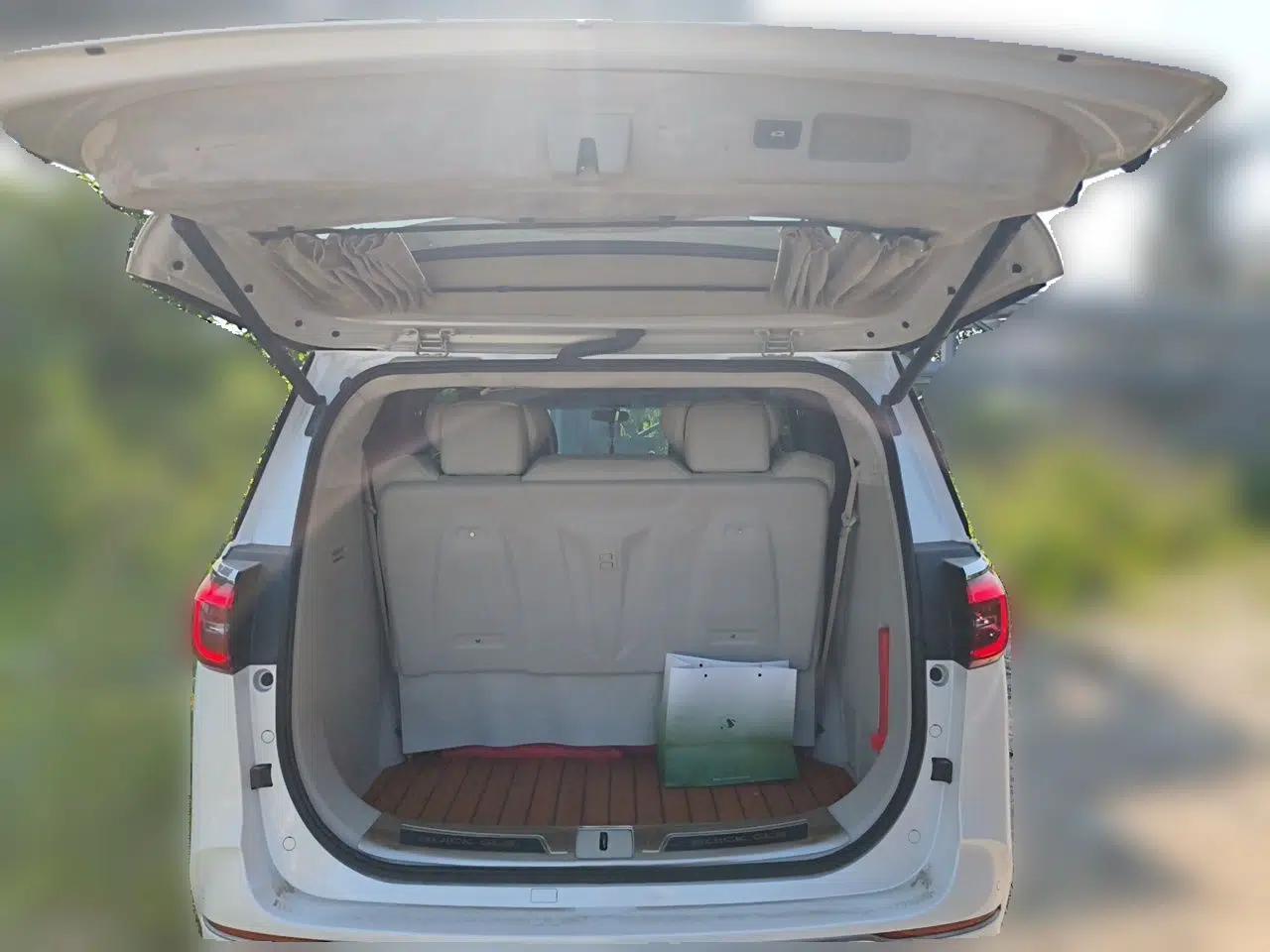 Buick GL8 2020 ES Land Cruiser 653T Comfort Edition — миниатюра 19