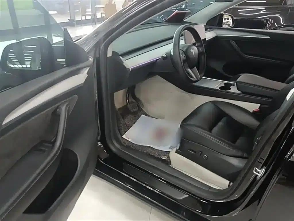 Model Y 2023 Rear-Wheel Drive — миниатюра 16