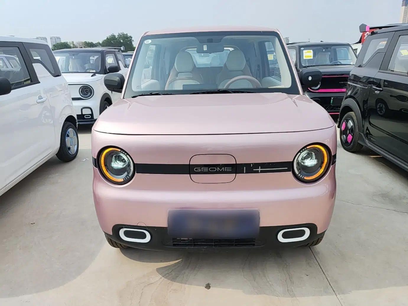 Geely Galaxy Panda 2025 210 km – Yuanqi Bear — миниатюра 2