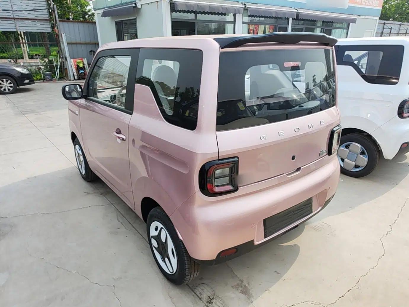 Geely Galaxy Panda 2025 210 km – Yuanqi Bear — миниатюра 4