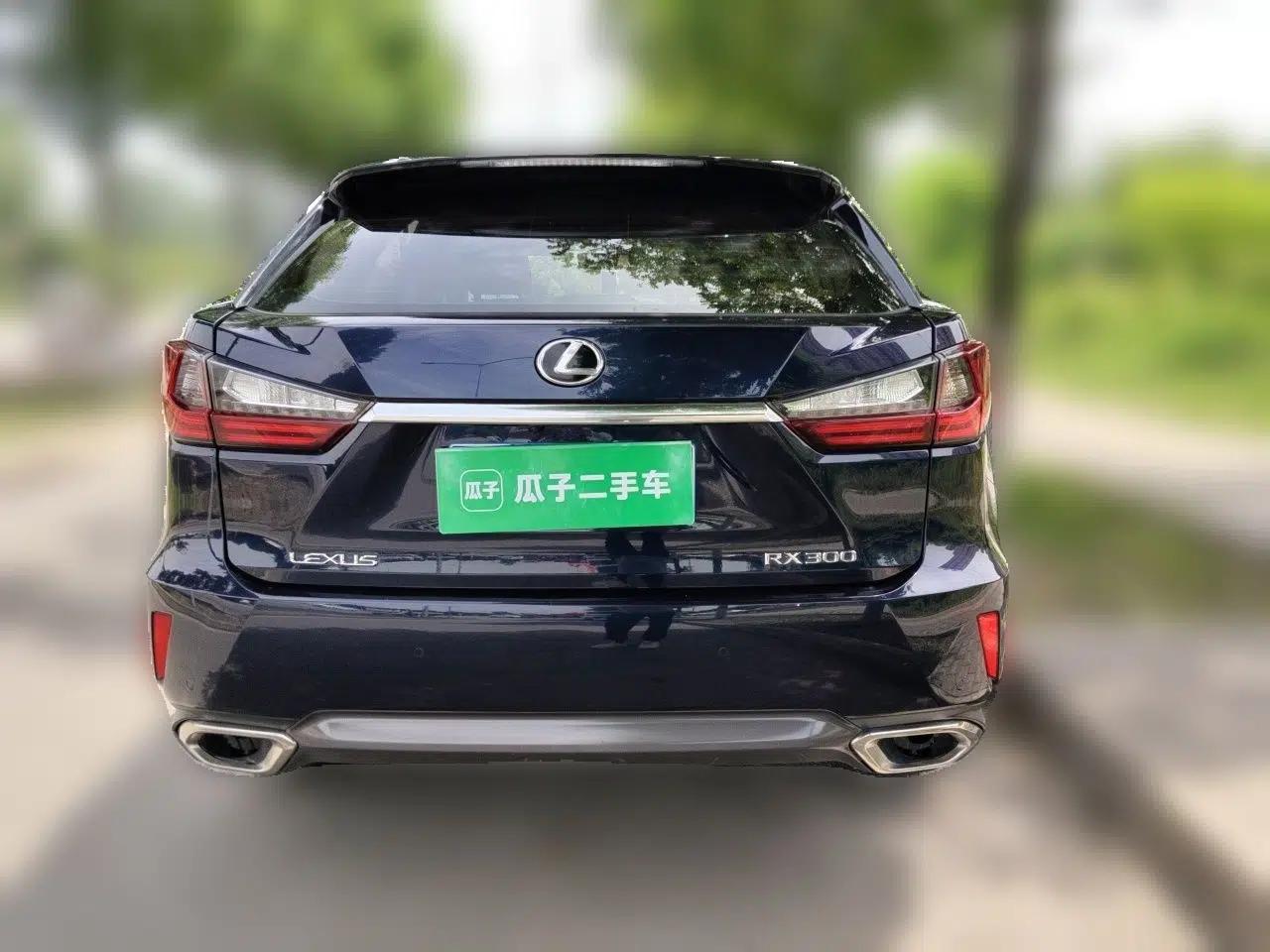 Lexus RX 2016 300 Two-Wheel Drive Elite Version China V Standard — миниатюра 5