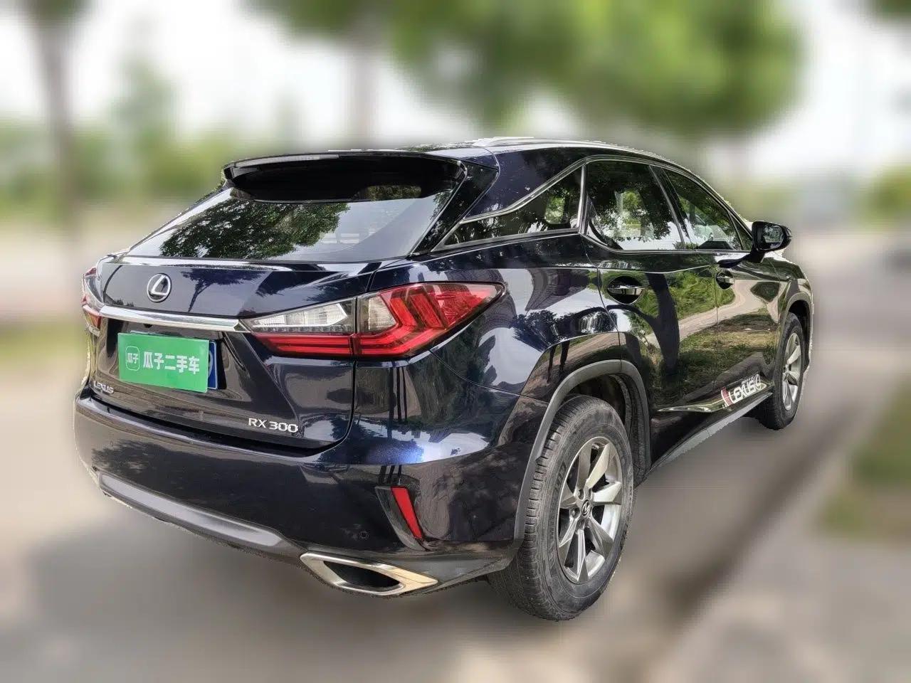 Lexus RX 2016 300 Two-Wheel Drive Elite Version China V Standard — миниатюра 6