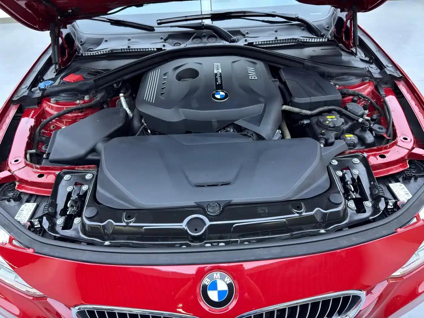 2019 BMW 3 Series 320Li M Sport Package — миниатюра 10