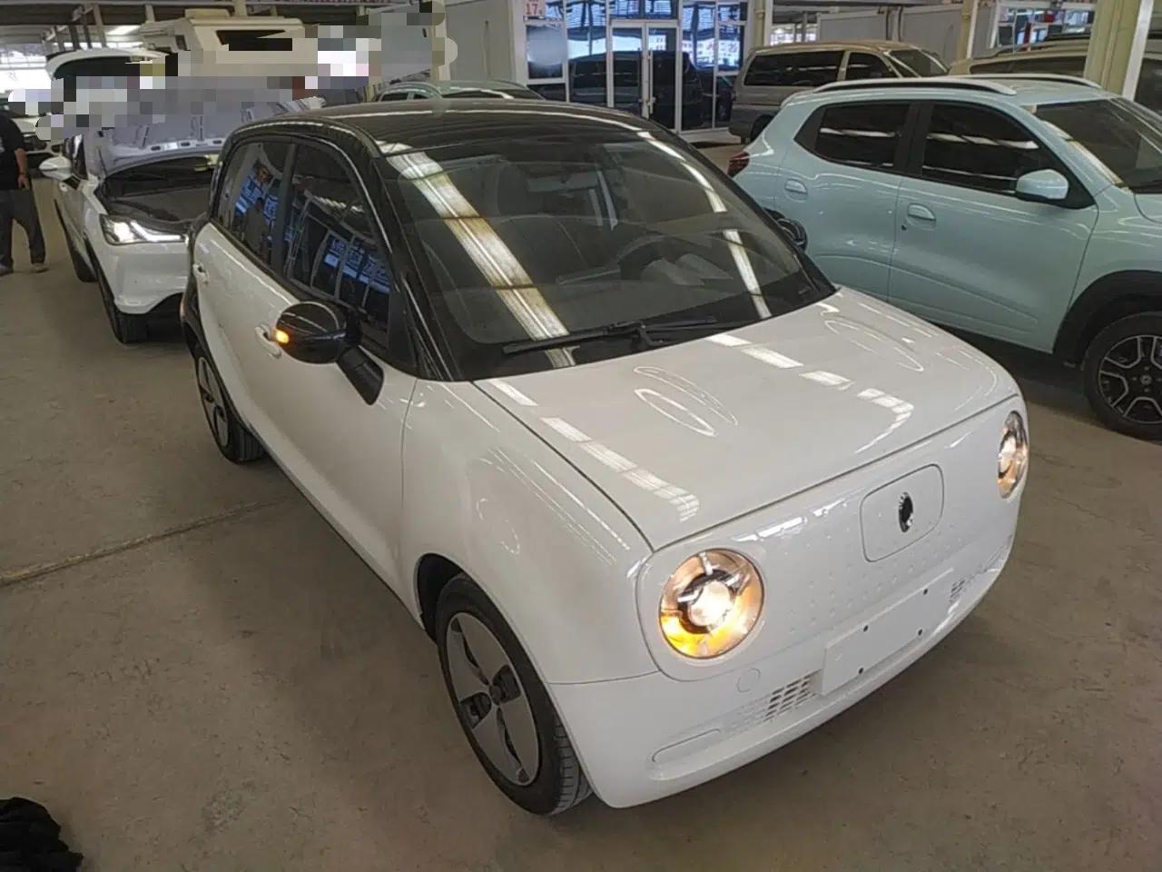 ORA Black Cat 2021 301 km Basic Version — миниатюра 3