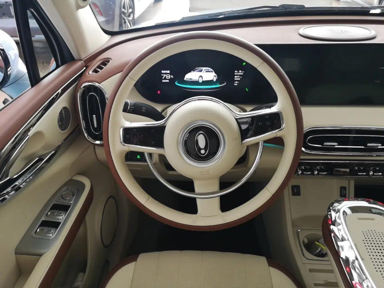 ORA Ballet Cat 2023 401 km Luxury Version — миниатюра 13