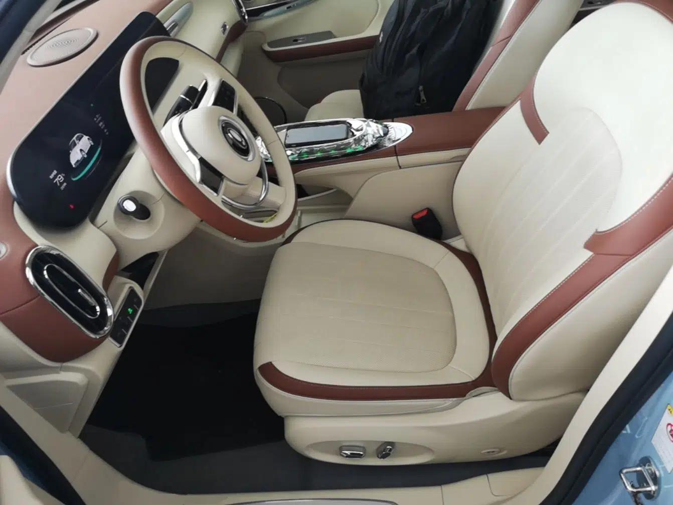 ORA Ballet Cat 2023 401 km Luxury Version — миниатюра 17