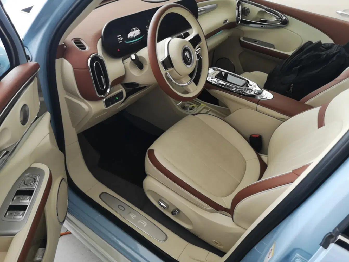 ORA Ballet Cat 2023 401 km Luxury Version — миниатюра 18