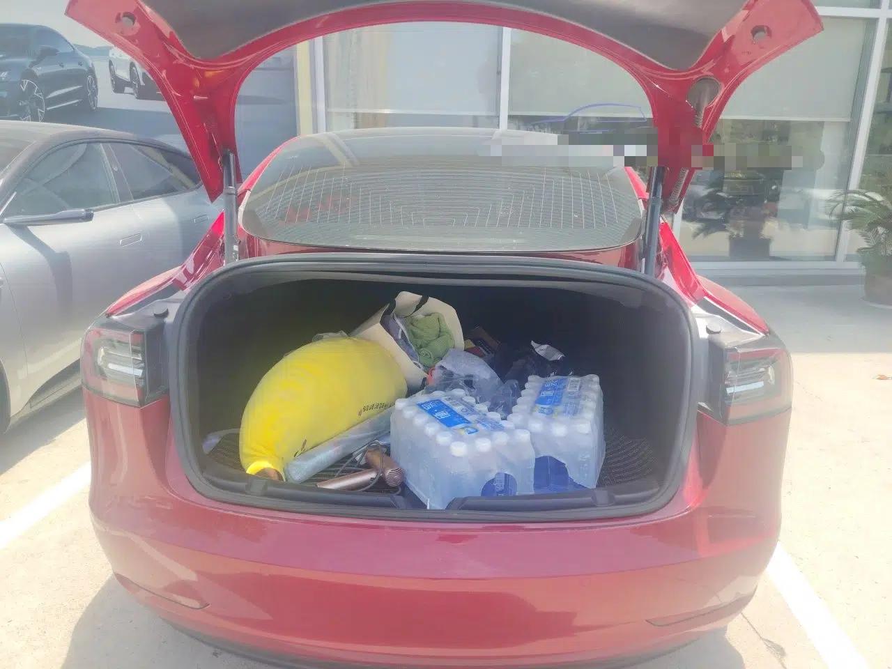 Tesla Model 3 2019 Standard Range Rear-Wheel Drive Upgraded Version (60 kWh) — миниатюра 19
